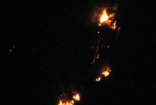 Ch&aacute;y[-]rừng[-]th&ocirc;ng[-]30[-]năm[-]tuổi[-]ở[-]Thanh[-]H&oacute;a